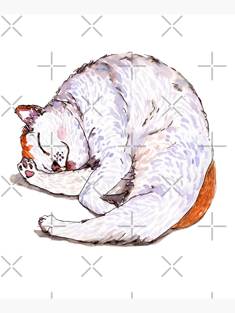 Tommy the Furball is Sleeping by whya