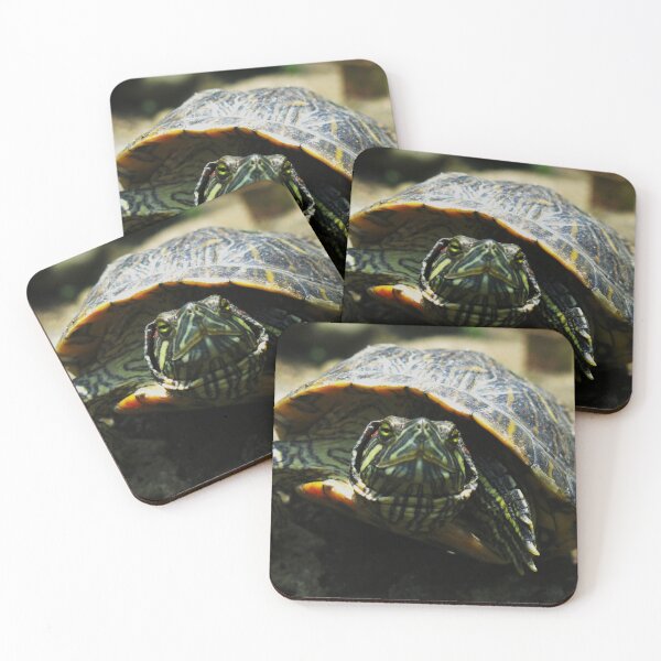 Item preview, Turtle designed and sold by Belcibol.
