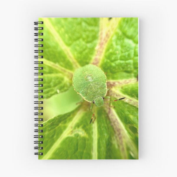 Item preview, Green Shield Bug on leaf designed and sold by MacroInsects.