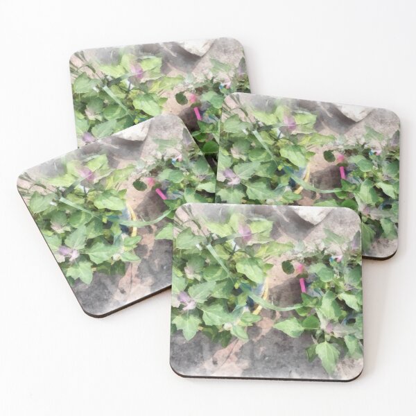 Item preview, Plants in the home kitchen designed and sold by ashishagarwal74.