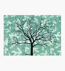 TREE ON DESIGN PAPER Photographic Print