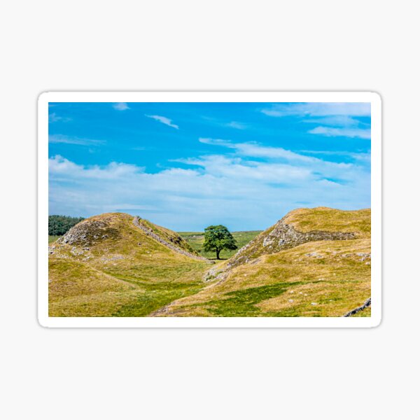 Item preview, Sycamore Gap  on Hadrians Wall designed and sold by OwlOccasions.