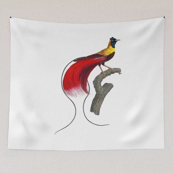 Item preview, Red bird-of-paradise designed and sold by Photopicture.