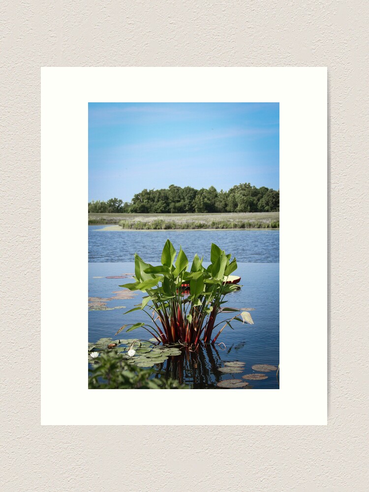 Thumbnail 2 of 3, Art Print, From the Blue designed and sold by littleoldhag.