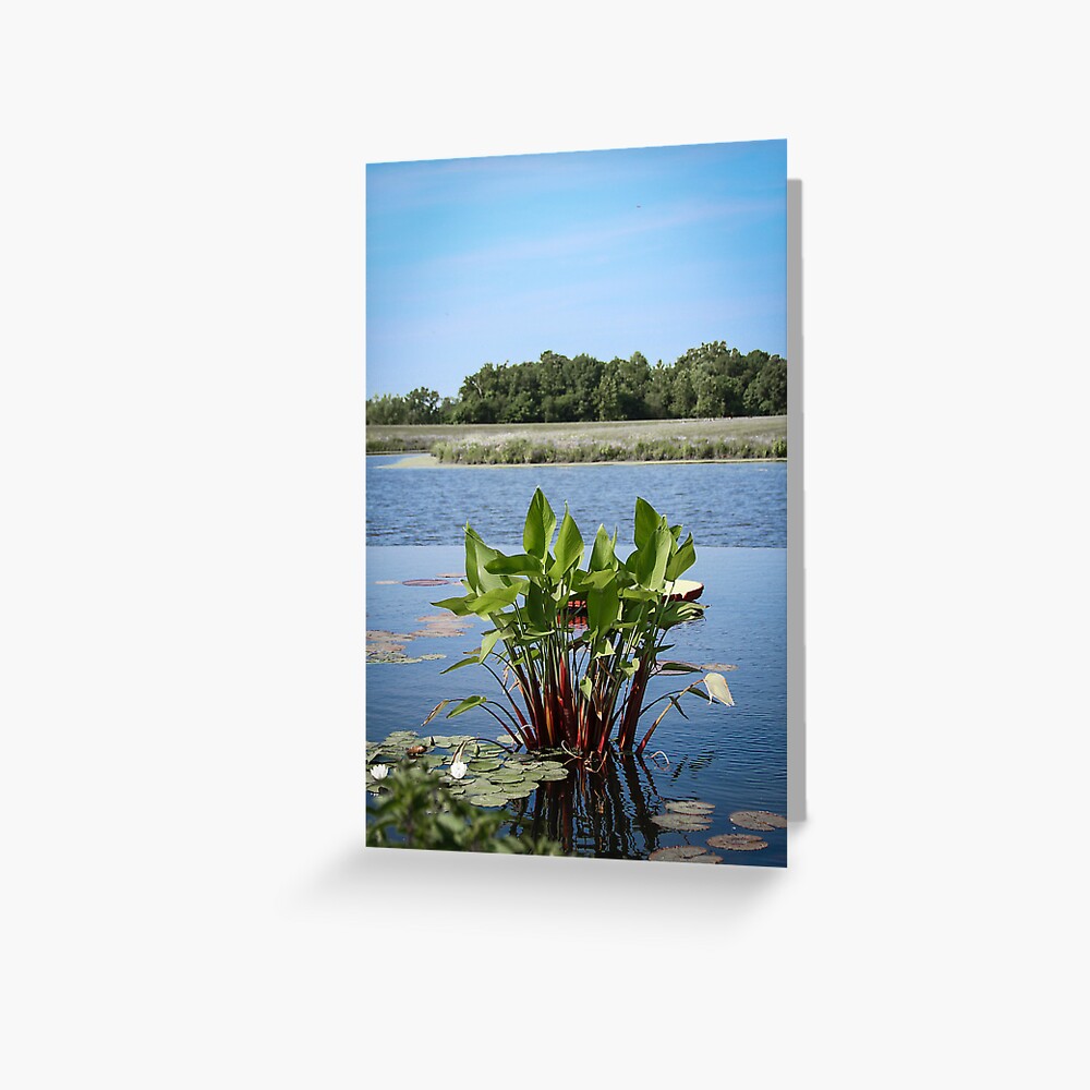 Item preview, Greeting Card designed and sold by littleoldhag.