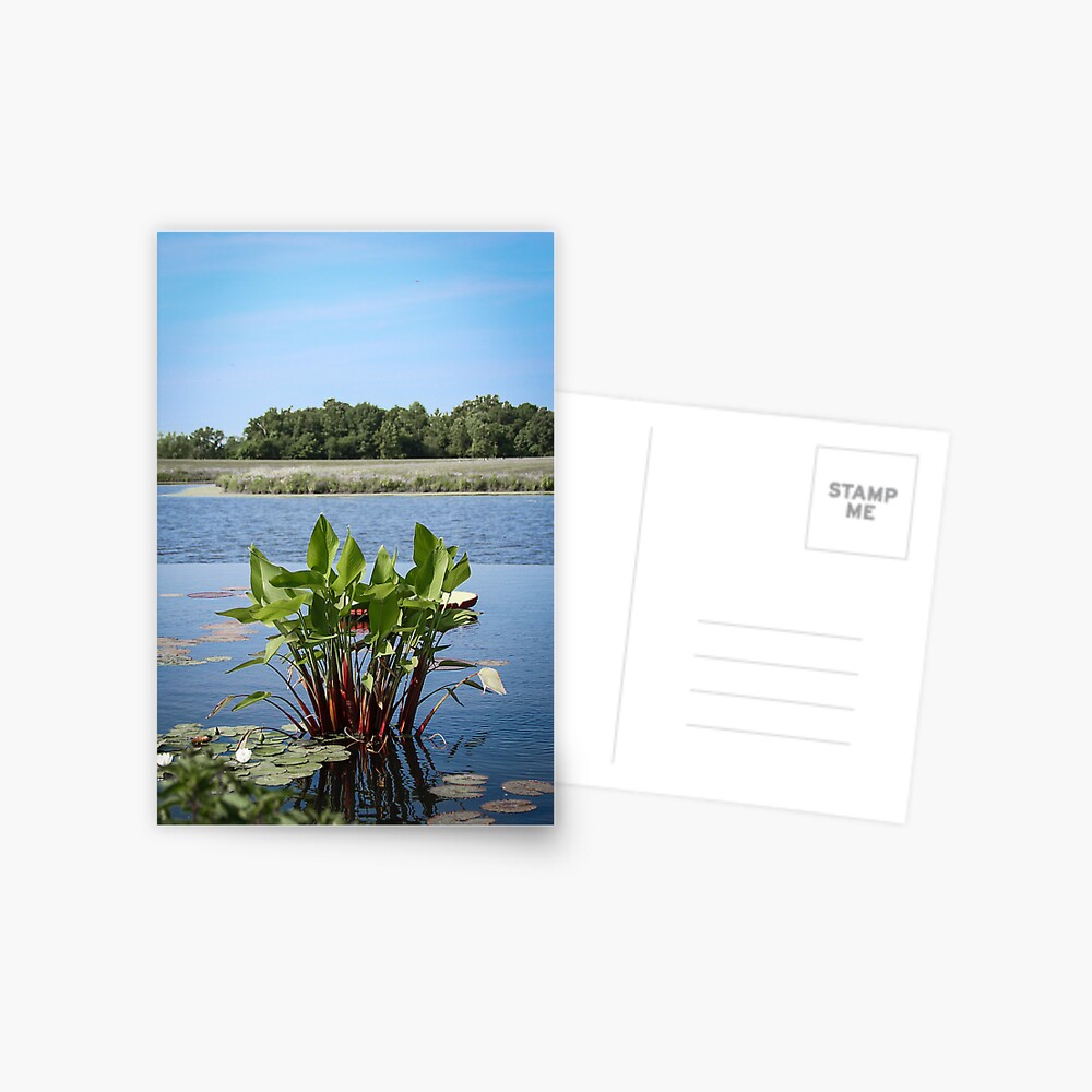 Item preview, Postcard designed and sold by littleoldhag.