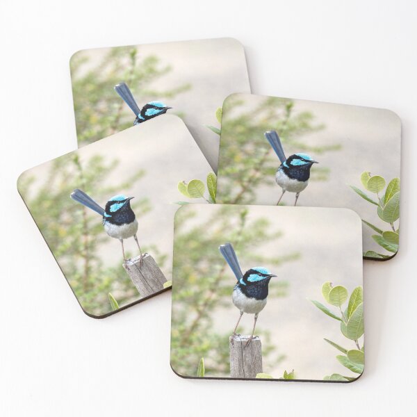 Item preview, Male Superb Fairy Wren designed and sold by Aussiegall.