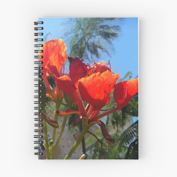Item preview, albero in fiore designed and sold by anata77.