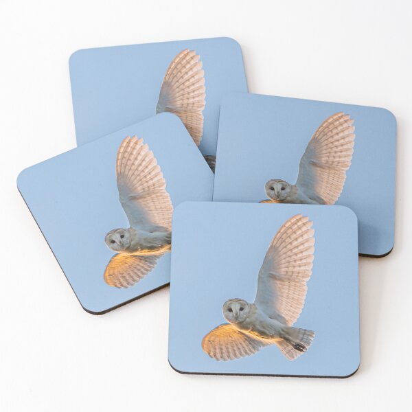 Item preview, Barn Owl in flight designed and sold by rogerstanger.