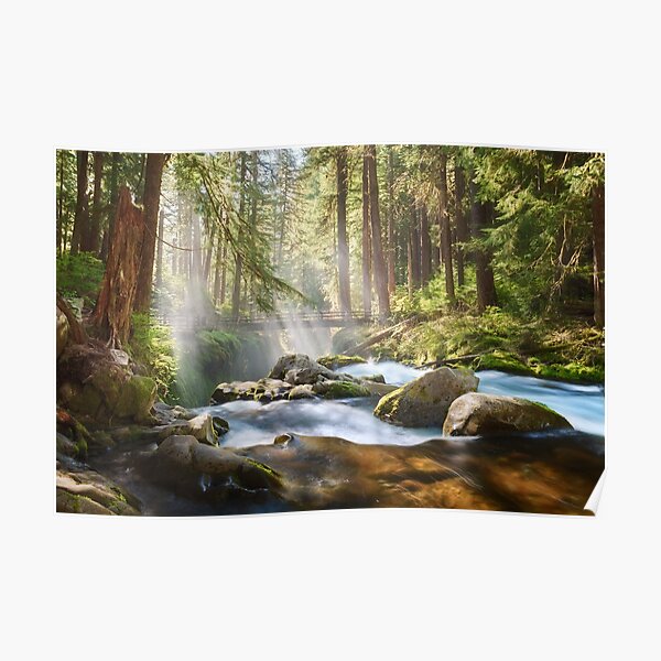 Sol Duc Poster