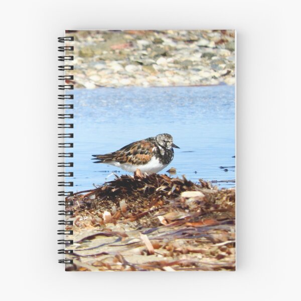 Item preview, Ruddy Turnstone designed and sold by BirdBags.