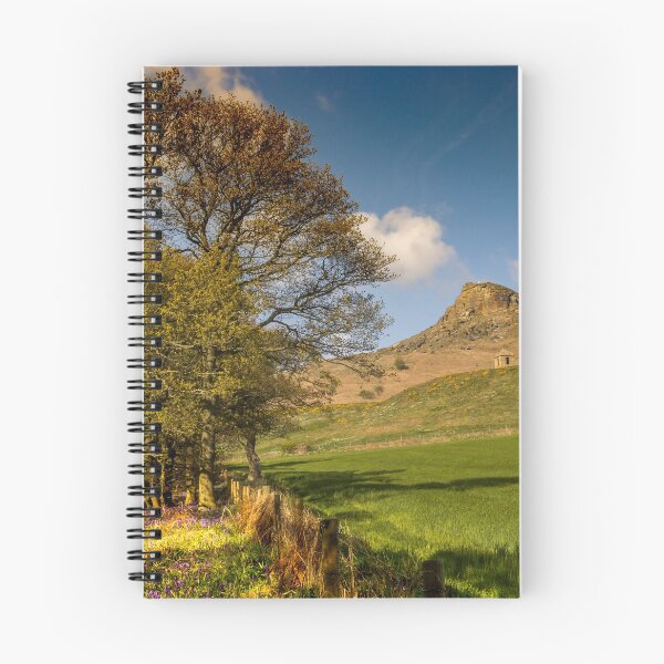 Item preview, Roseberry Topping designed and sold by grumpykeith.