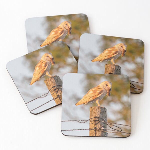 Item preview, Barn owl with mouse near Canterbury designed and sold by rogerstanger.