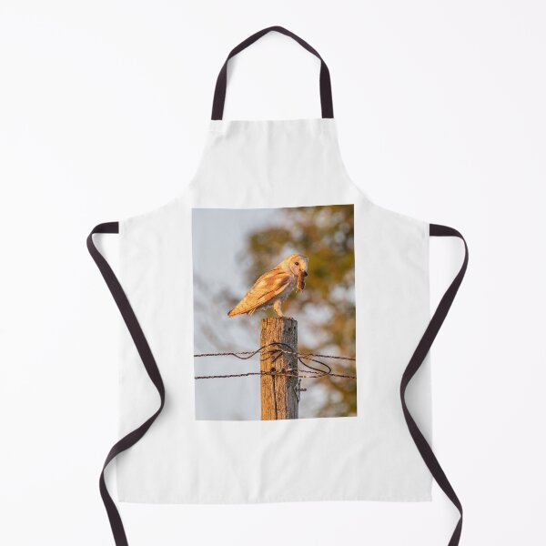 Item preview, Barn owl with mouse near Canterbury designed and sold by rogerstanger.