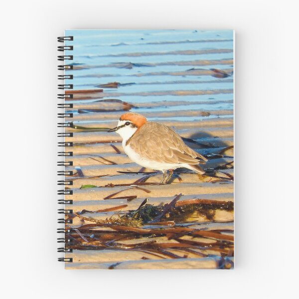 Item preview, Red-capped plover male designed and sold by BirdBags.