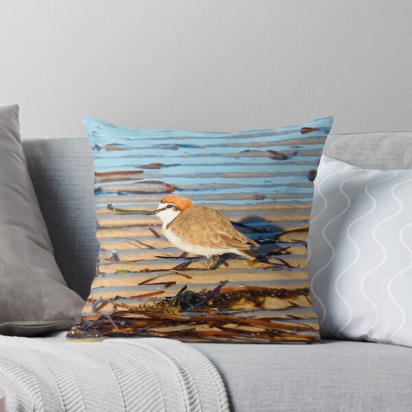 Item preview, Red-capped plover male designed and sold by BirdBags.