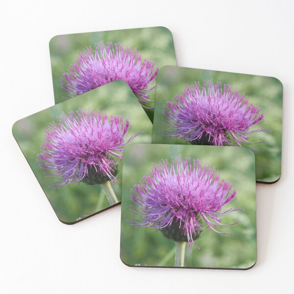 Item preview, Melancholy thistle 2 designed and sold by Jouko Lehto Photography.