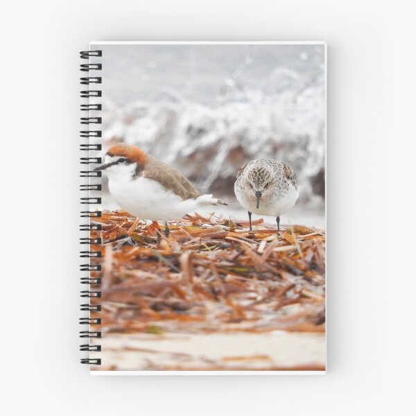 Item preview, Red-capped plover & Red-necked stint designed and sold by BirdBags.
