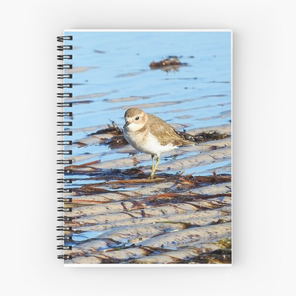 Item preview, Double-banded plover designed and sold by BirdBags.