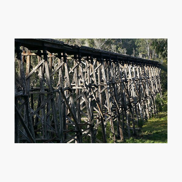Item preview, Trestle Bridge near Nowa Nowa, Victoria, Australia designed and sold by Geoffrey Grinton.
