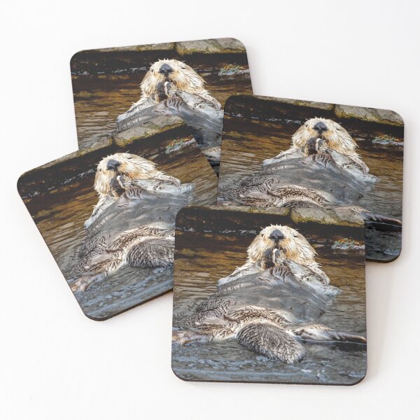 Item preview, Relaxed Dinner for One! designed and sold by Dalyndigital Photography.