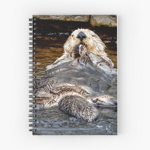 Item preview, Relaxed Dinner for One! designed and sold by Dalyndigital Photography.