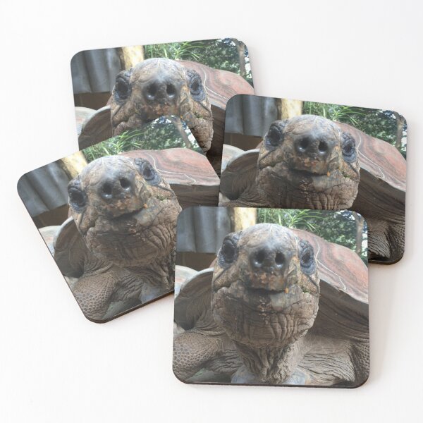 Item preview, Lance the Tortoise  designed and sold by Dangerpuppy.