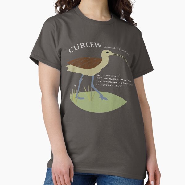 Item preview, Birds of Ireland "Curlew"  designed and sold by EirPlaces.