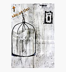 Open all the Cages Photographic Print