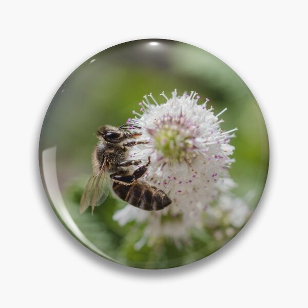 Item preview, A bee on a mint white flower designed and sold by moroccandreamer.