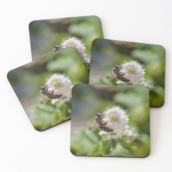 Item preview, A bee on a mint white flower designed and sold by moroccandreamer.