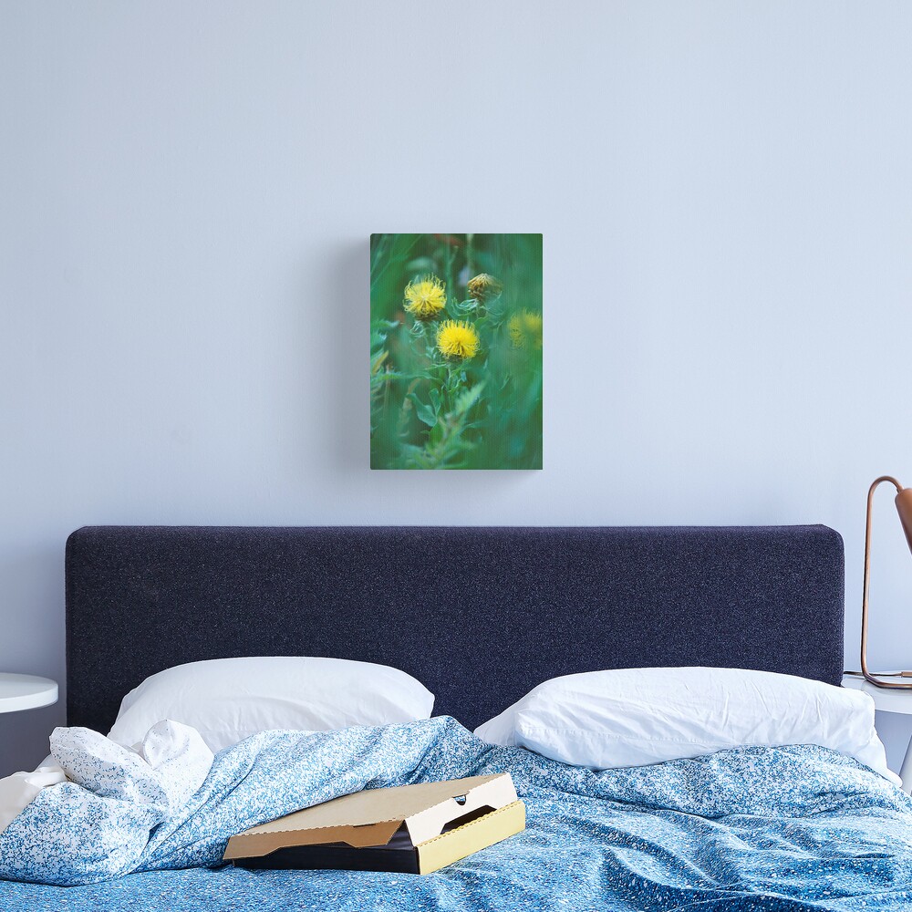Sweet As Summer Canvas Print