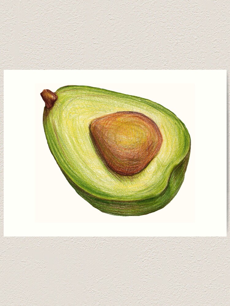 Avocado. color pencil Art Print for Sale by lisenok