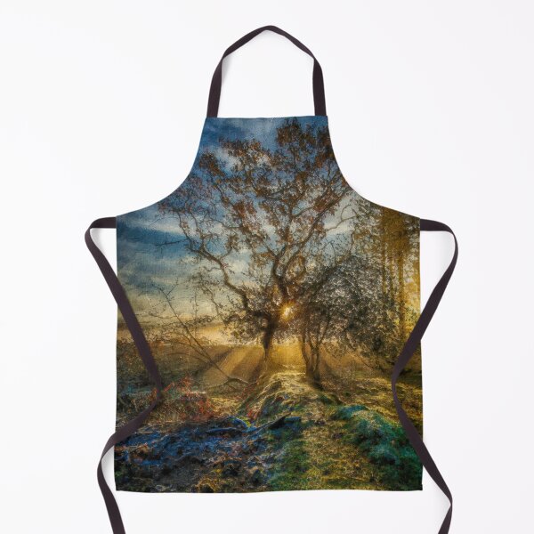 Item preview, Dartmoor Dawn. Digital painting designed and sold by Barrie Tumbridge.