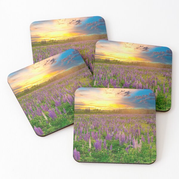 Item preview, Lupins at Sunset designed and sold by Richard W J Conyard.