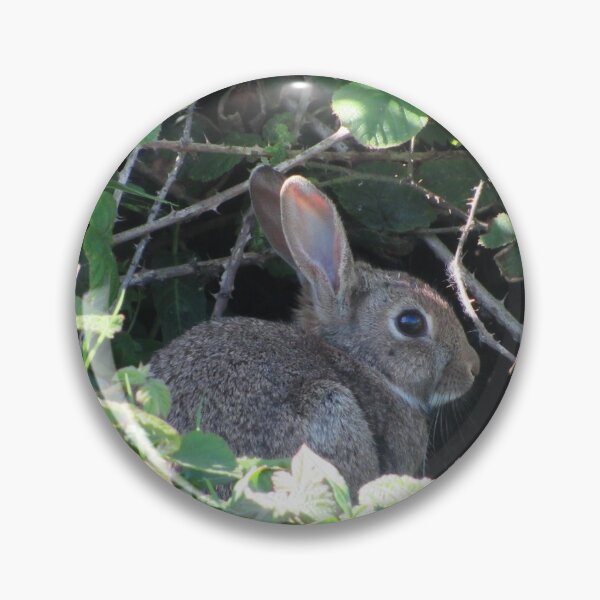 Item preview, Rabbit In Sunshine designed and sold by WildandDivine.