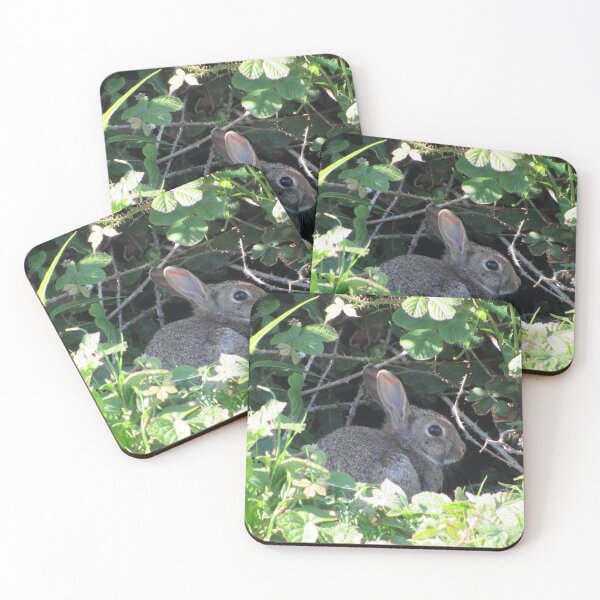 Item preview, Rabbit In Sunshine designed and sold by WildandDivine.