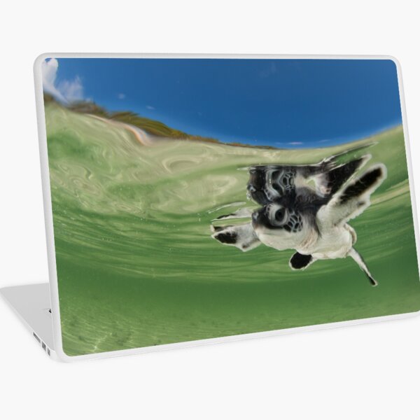 Green Turtle Baby Laptop Skin