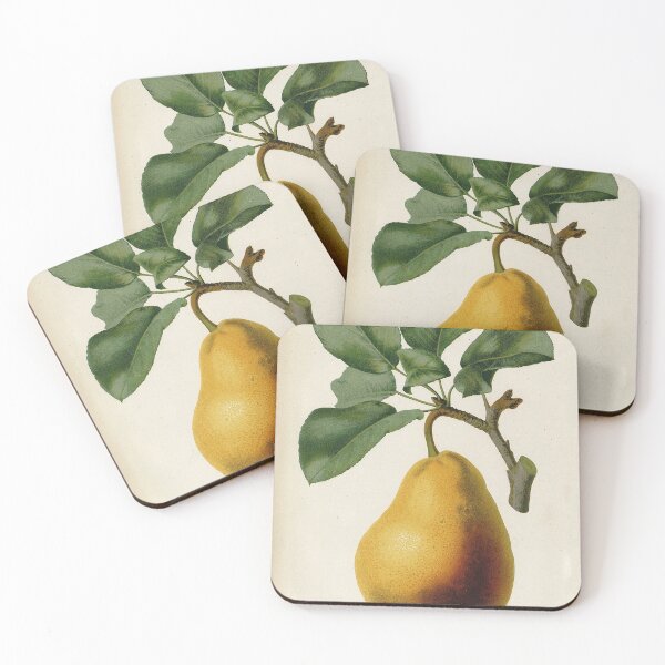 Item preview, Vintage French botanical illustration - Poire Jules d Ayrolles designed and sold by Gardenlibrary.