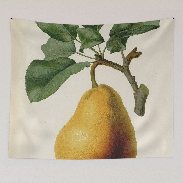 Item preview, Vintage French botanical illustration - Poire Jules d Ayrolles designed and sold by Gardenlibrary.