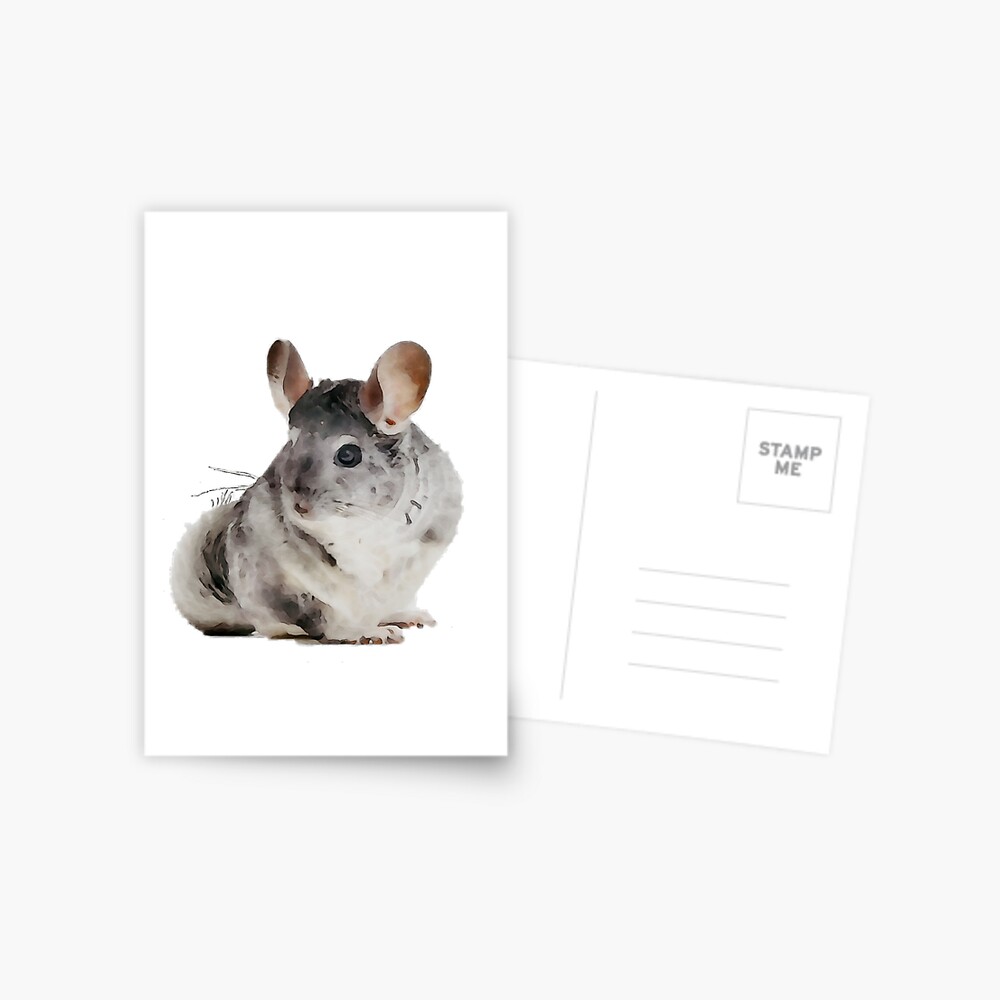 Item preview, Postcard designed and sold by racer0220.