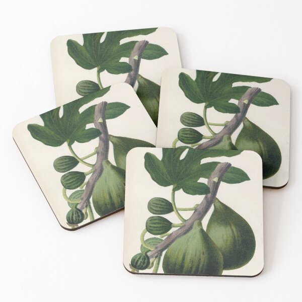 Item preview, Vintage French botanical illustration - Figue blanche a peau verte designed and sold by Gardenlibrary.
