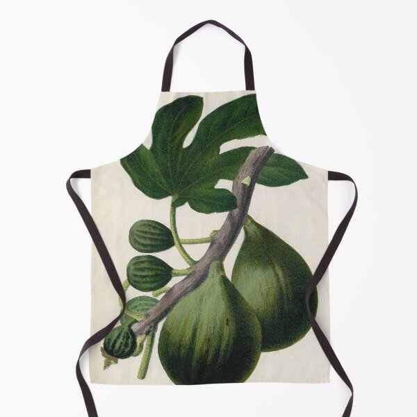 Item preview, Vintage French botanical illustration - Figue blanche a peau verte designed and sold by Gardenlibrary.