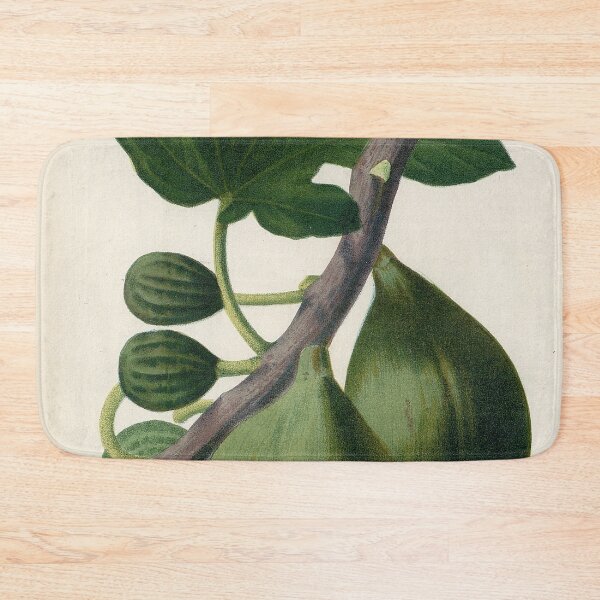 Item preview, Vintage French botanical illustration - Figue blanche a peau verte designed and sold by Gardenlibrary.