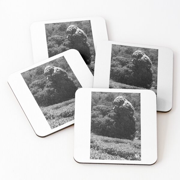 Item preview, SSK 9215 PLANTS AND TREES. B/W designed and sold by Sunil Kapadia.