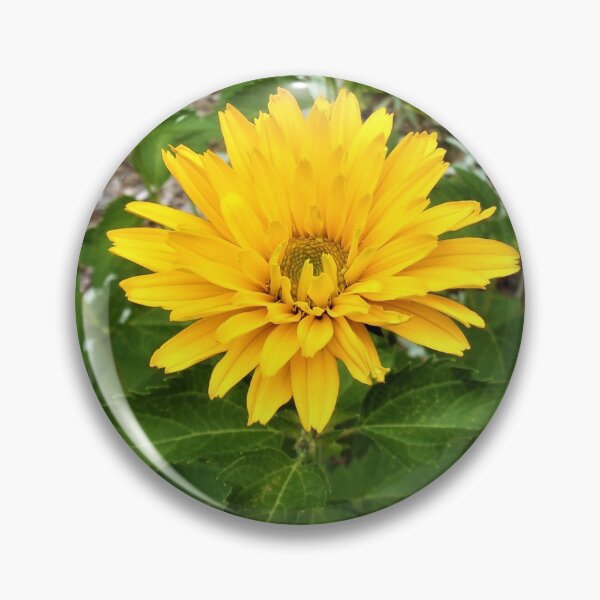 Item preview, Sun in the Garden designed and sold by CJGrimes.