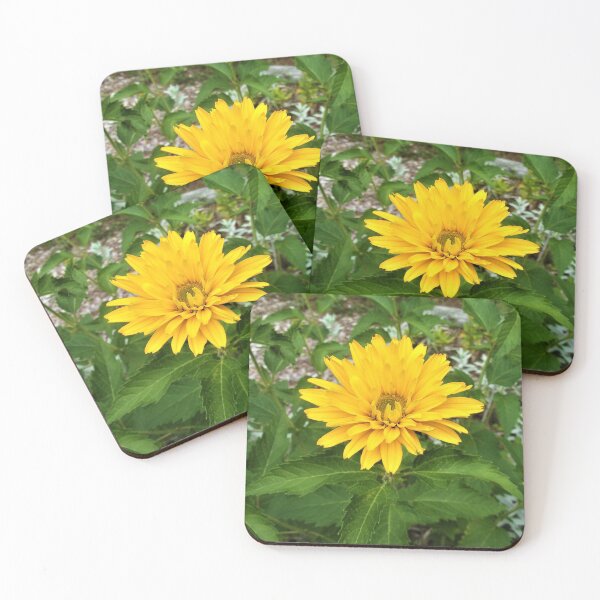 Item preview, Sun in the Garden designed and sold by CJGrimes.