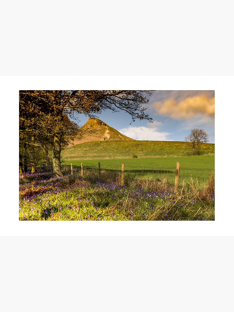 Roseberry Topping Bluebells by grumpykeith