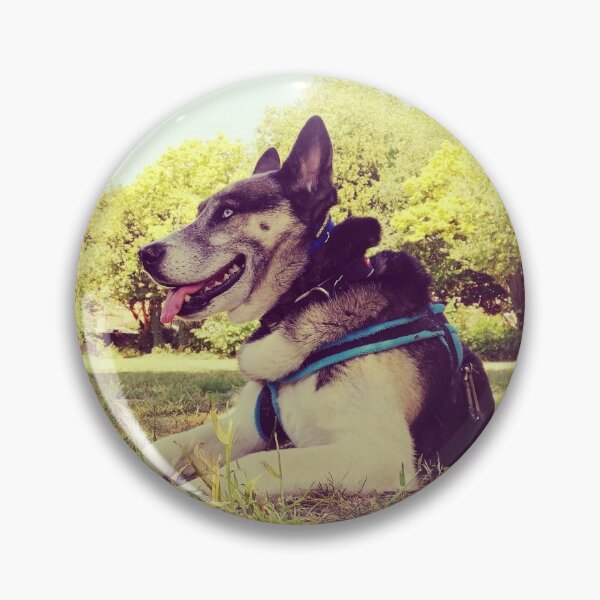 Artikelvorschau, Faulenzen. Nachmittags sonnig, im Sommer, mit meinem Hund in meinem örtlichen Park entworfen und verkauft von Marcus Barcus.