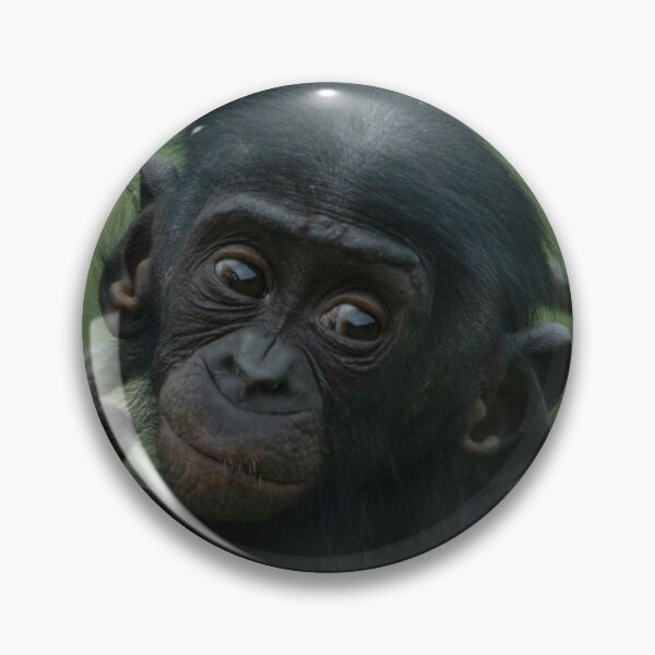 Item preview, Bonobo Lola designed and sold by rawshutterbug.
